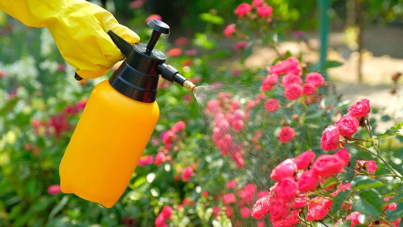 Using Pesticides Indiscriminately