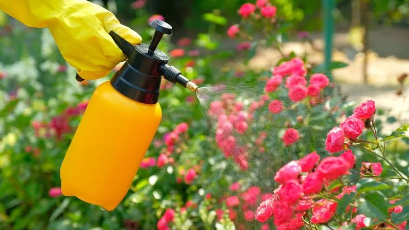 Using Pesticides Indiscriminately
