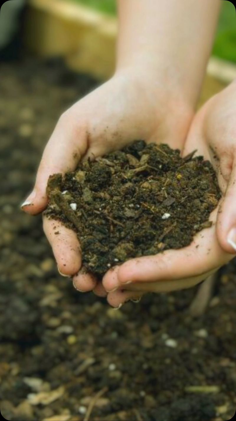 Using the Wrong Soil Type