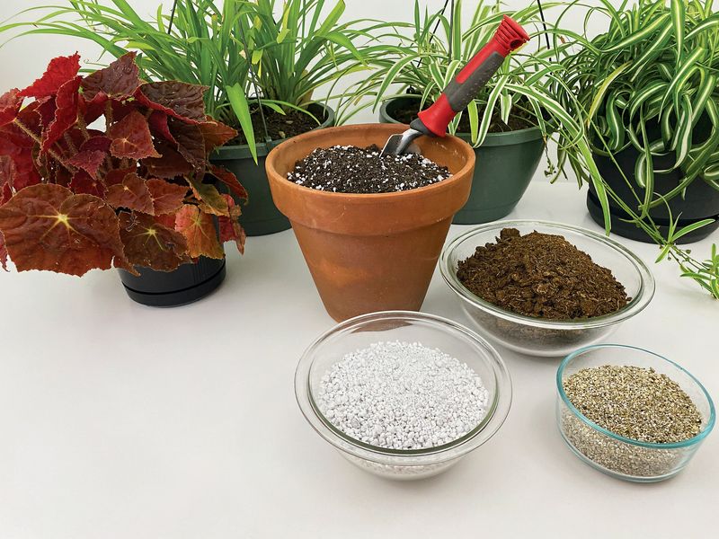 Utilize Soil for Indoor Plants
