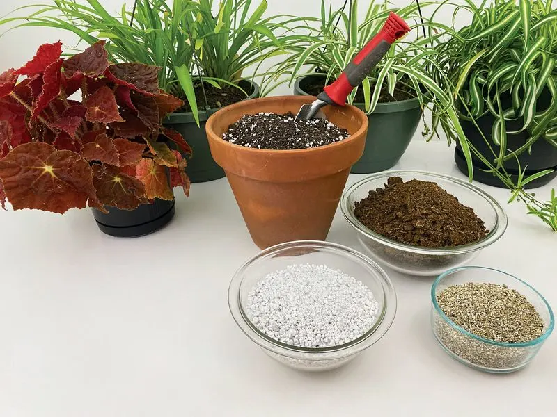 Utilize Soil for Indoor Plants