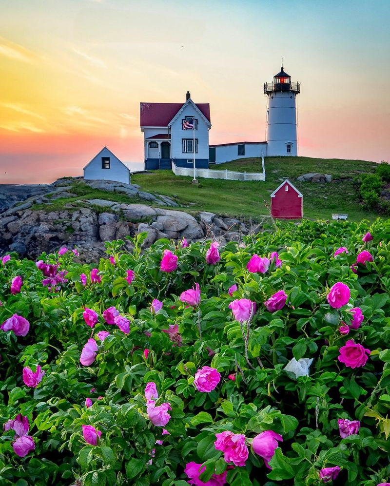 Vacant Lighthouses