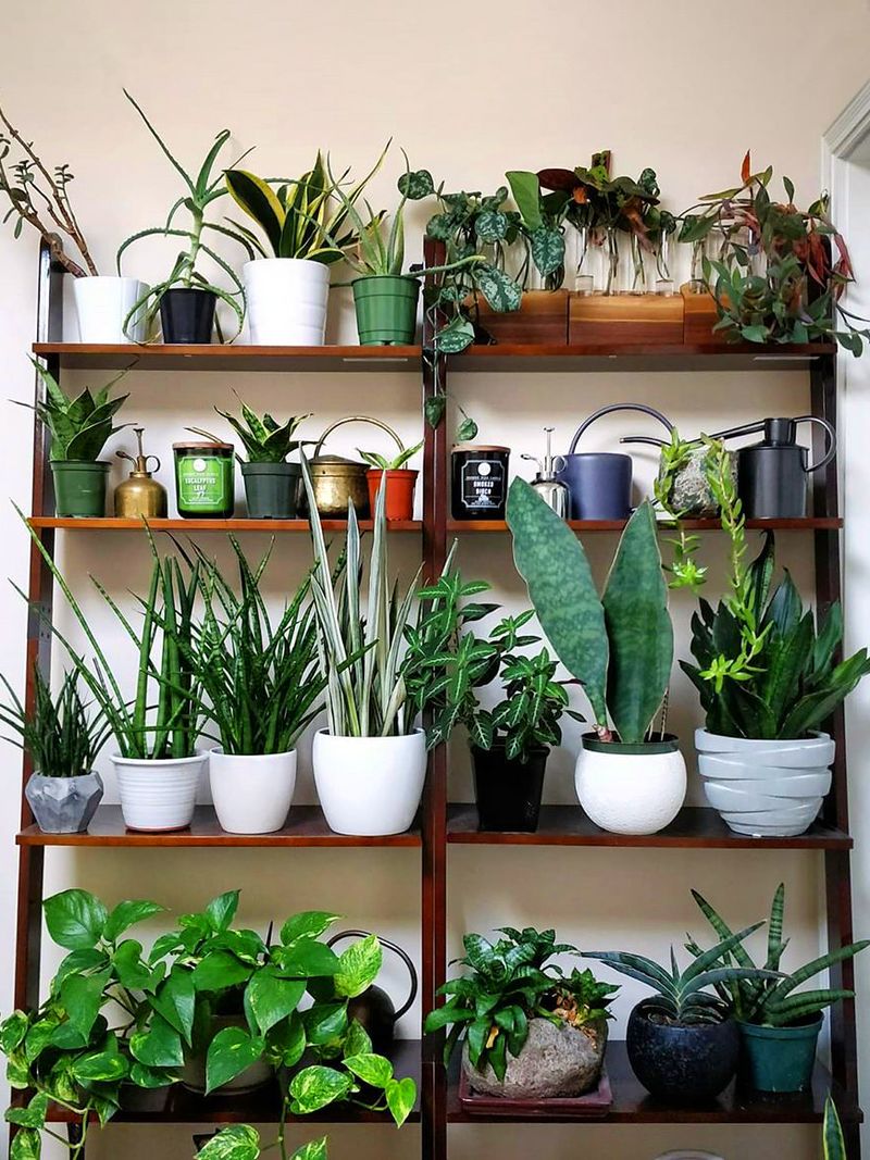 Varying Pot Sizes