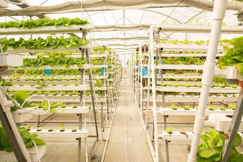 Vertical Farming