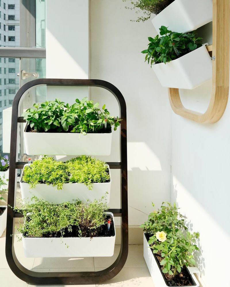 Vertical Garden