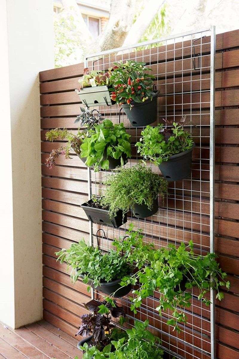 Vertical Garden