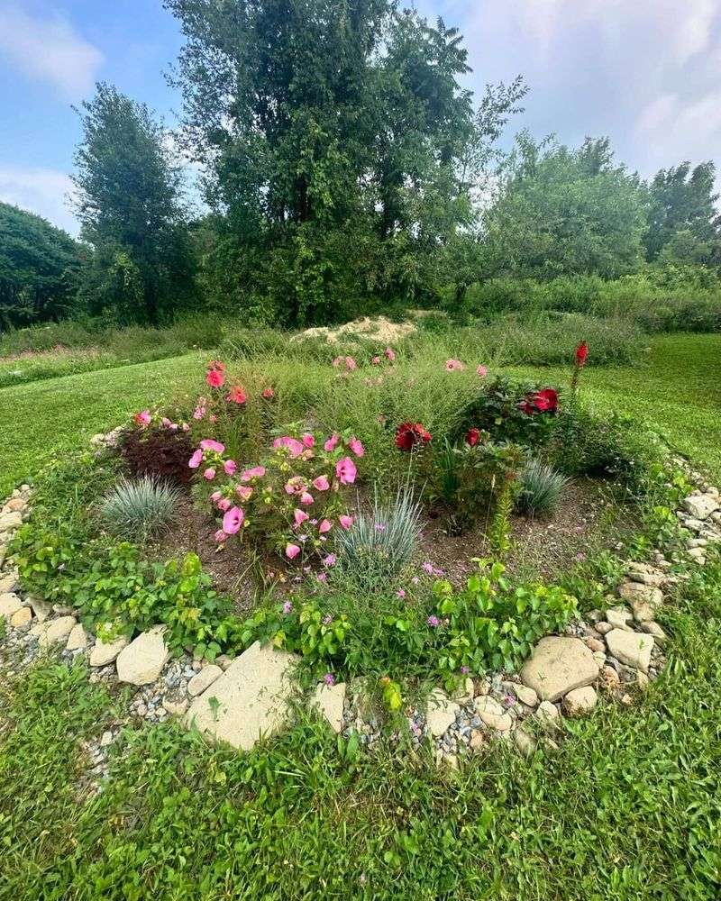 Rain Gardens