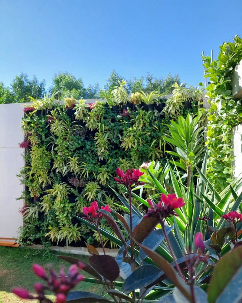 Vertical Gardens