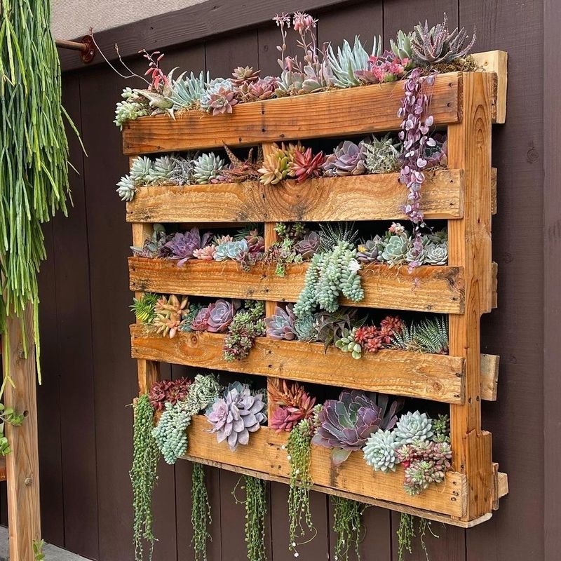 Vertical Gardens