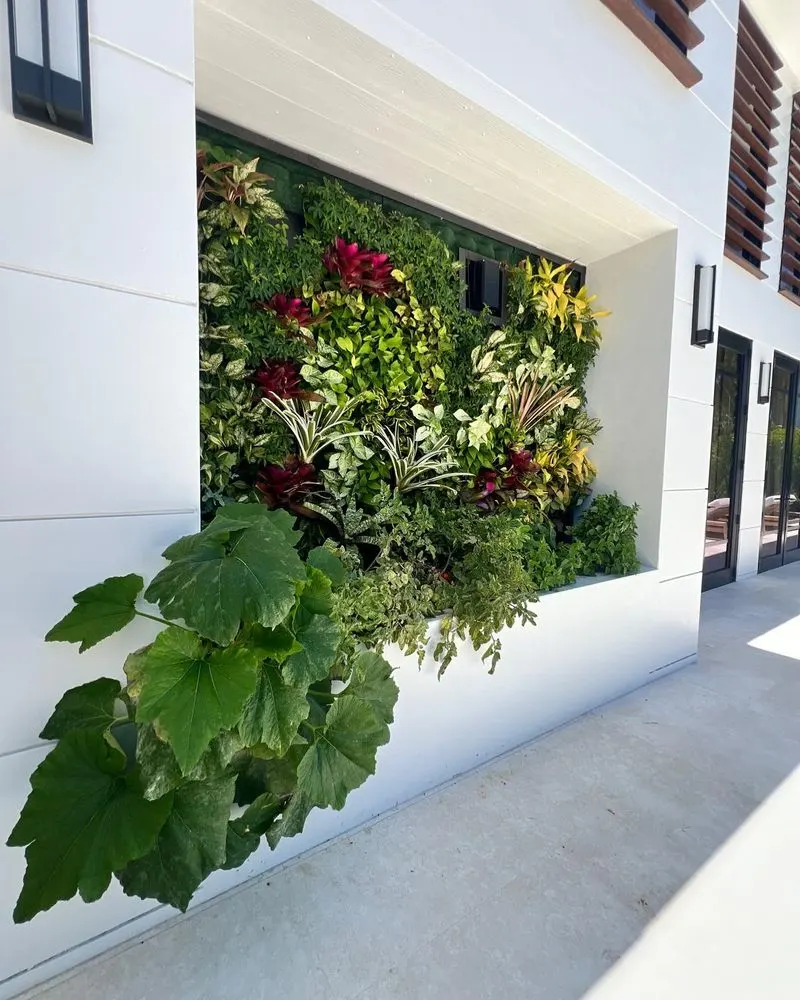 Vertical Gardens