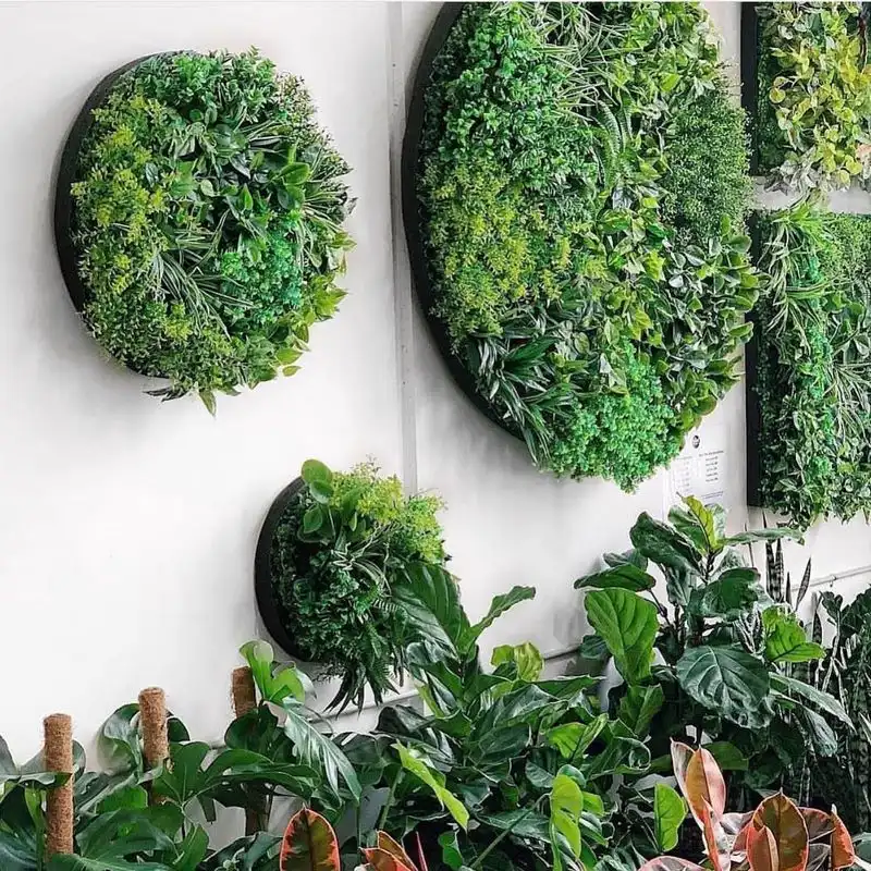 Vertical Gardens