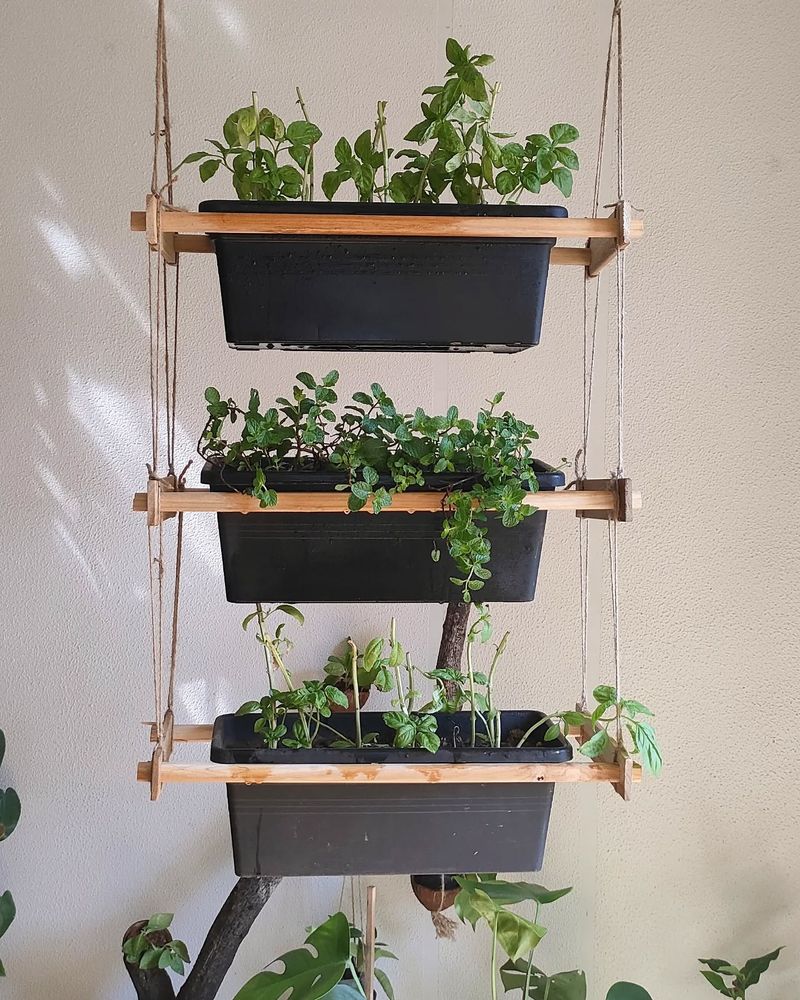 Vertical Herb Gardens