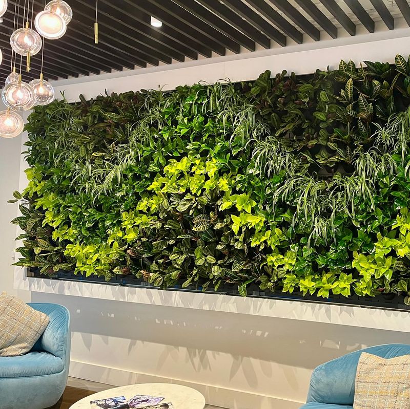 Vertical Plant Wall