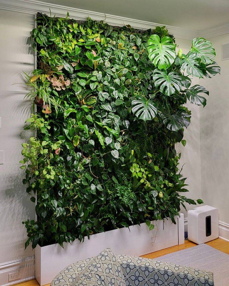 Vertical Plant Walls
