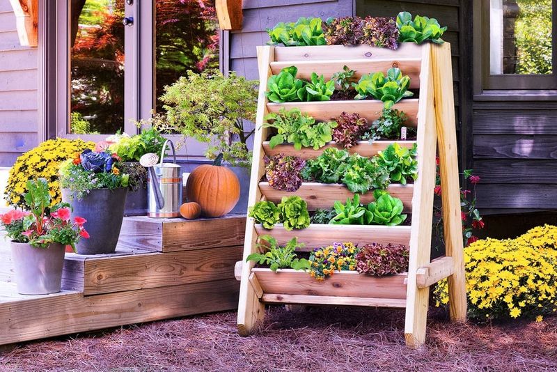 Vertical Planter