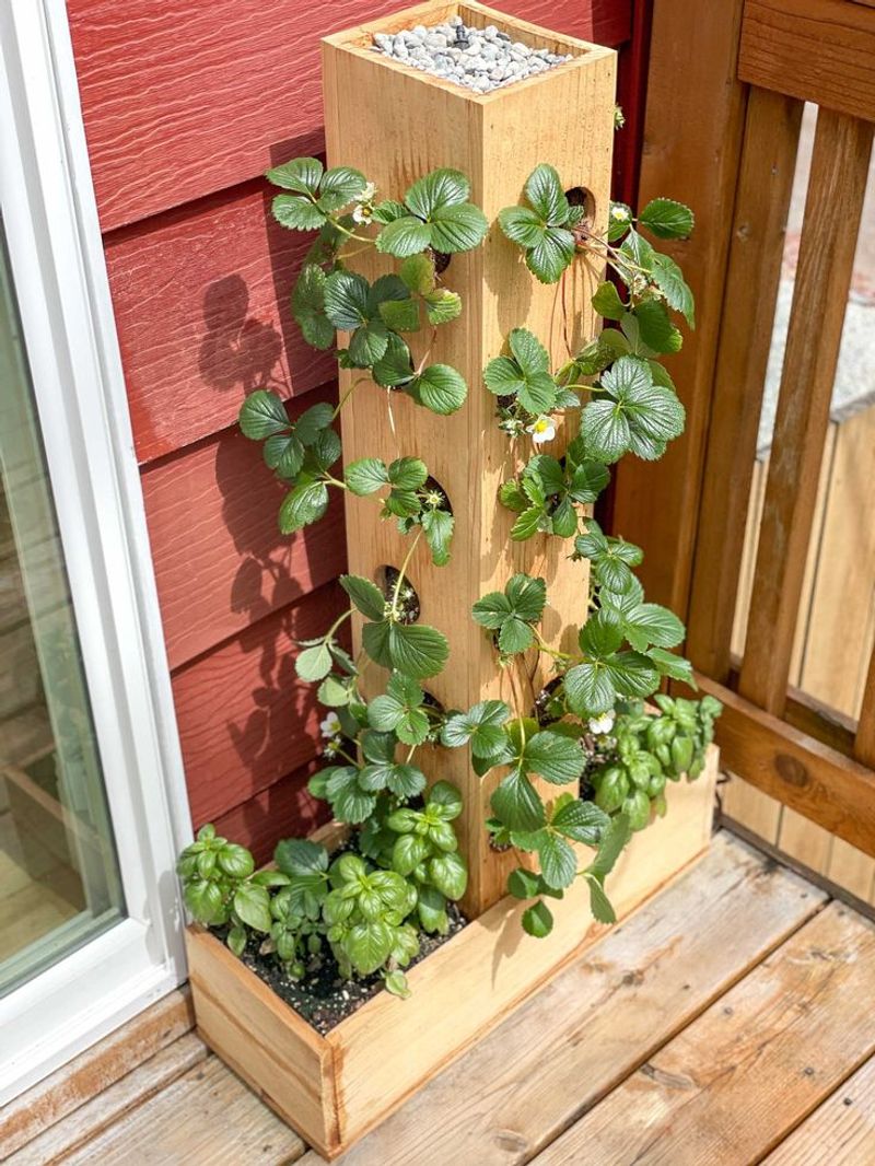 Vertical Strawberry Towers