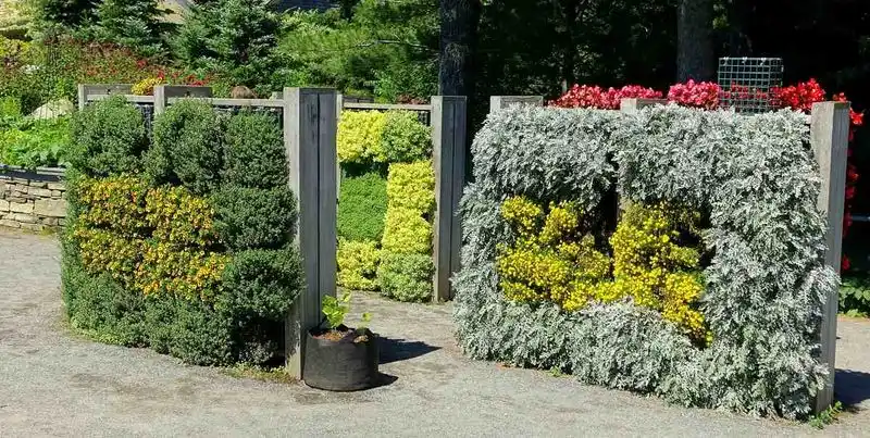 Vertical Vegetable Paradise