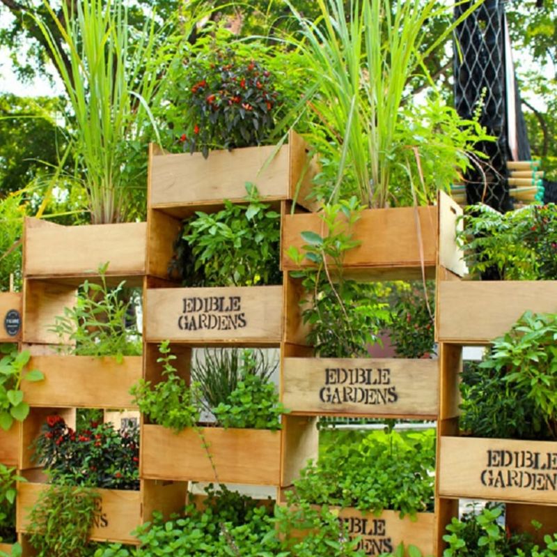 Vertical Vegetable Patch
