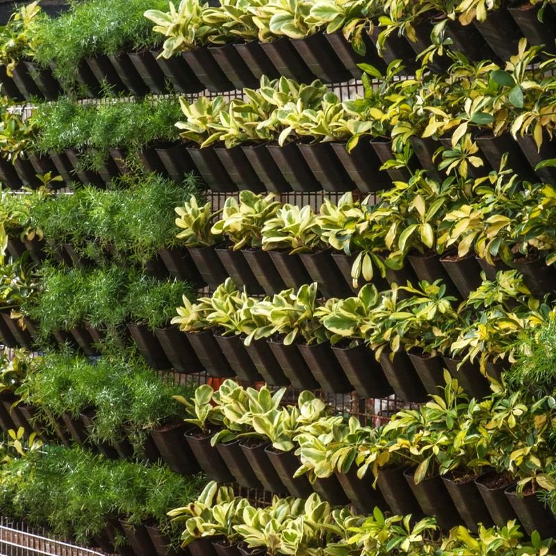 Vertical Wall Gardens