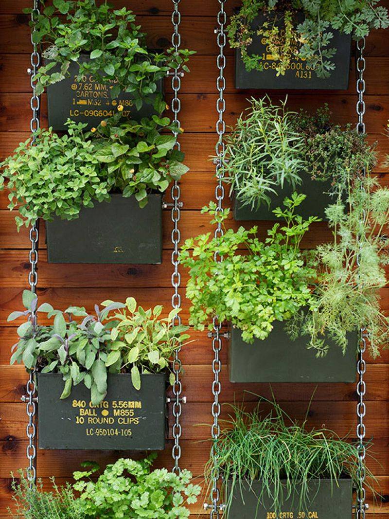Eco-Friendly Vertical Garden