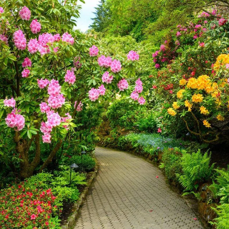 Victoria, Canada
