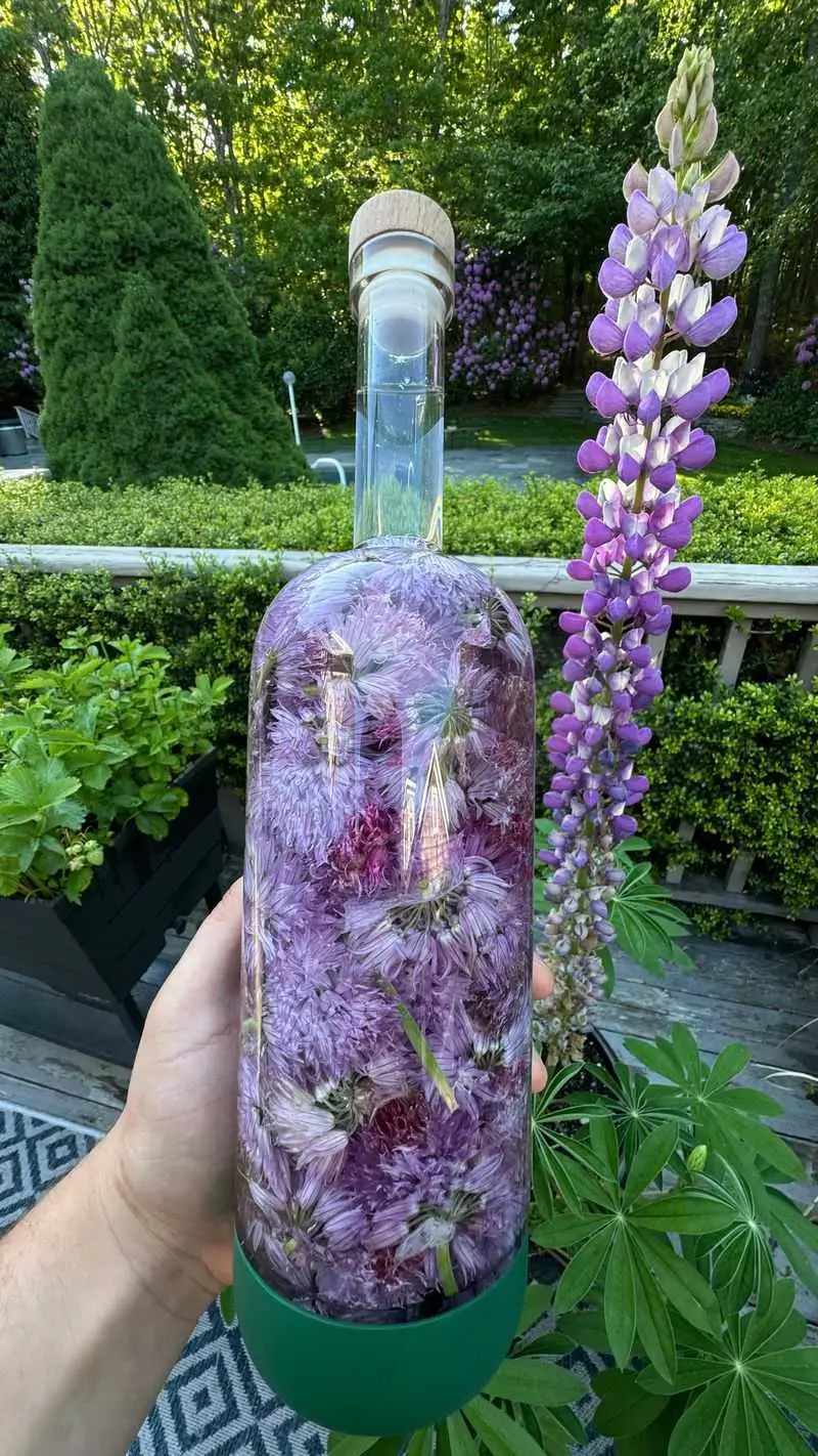 Vinegar