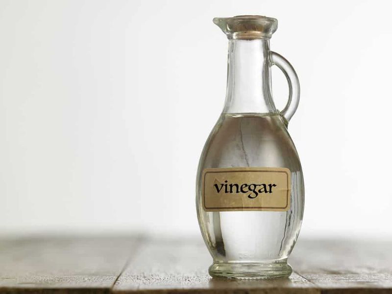 Vinegar Solution