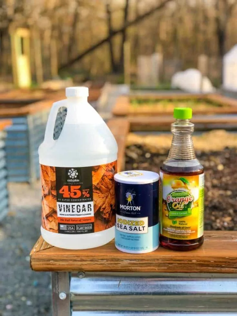 Vinegar Weed Killer