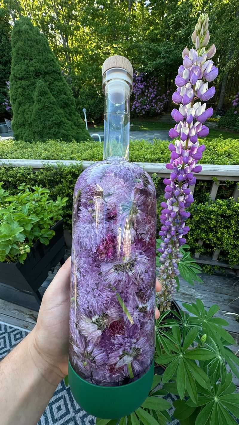 Vinegar