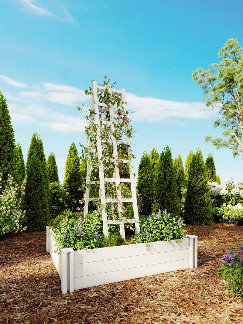 Vintage Ladder Trellis