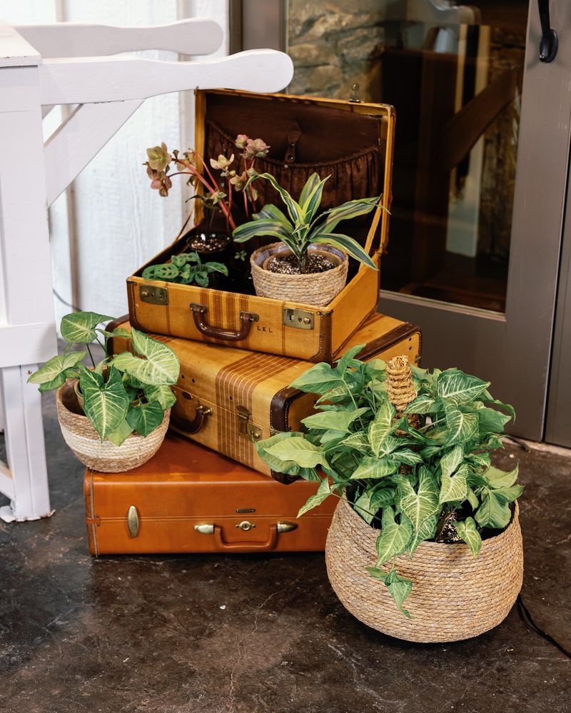 Vintage Suitcase
