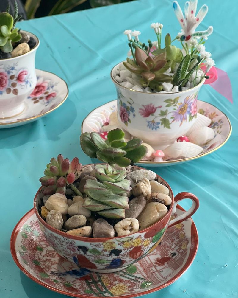 Vintage Tea Cup Terrarium