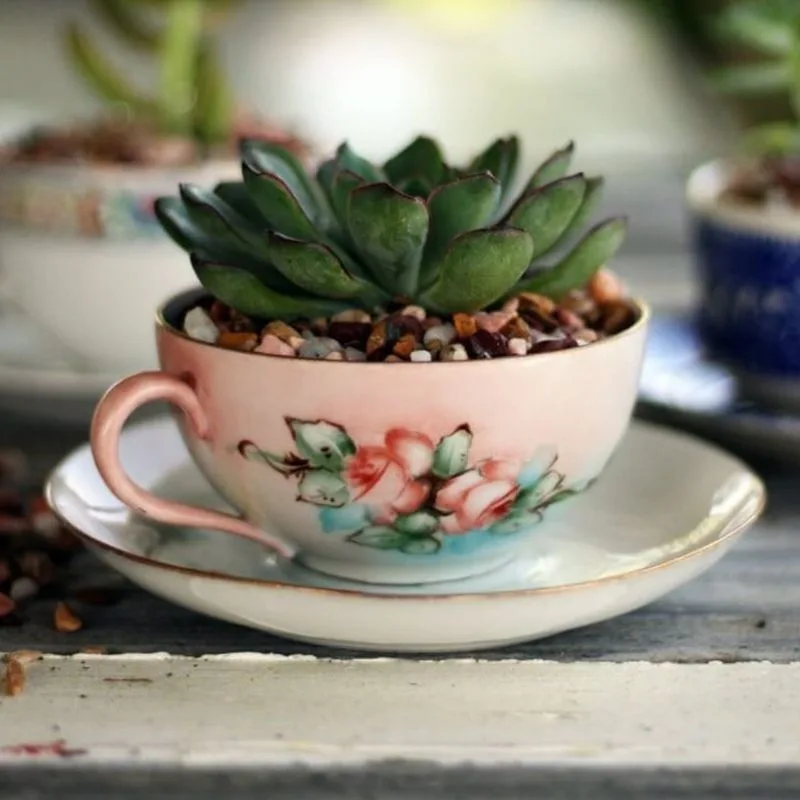 Vintage Teacup Planters