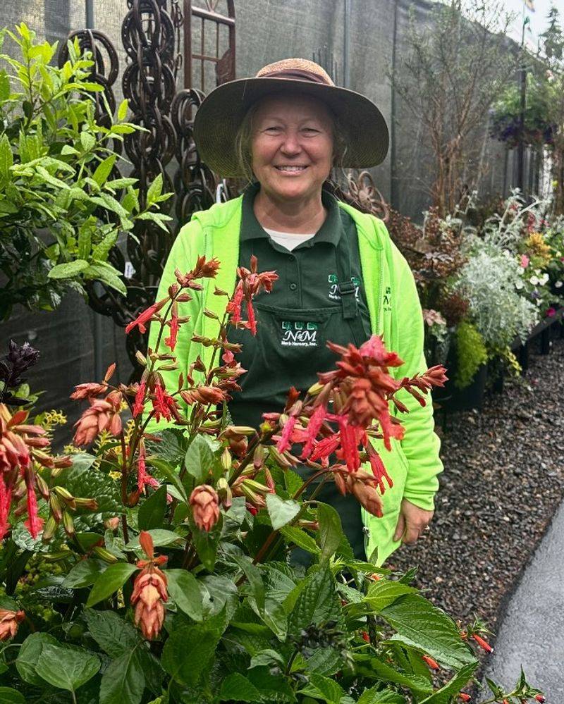 Virtual Garden Tours