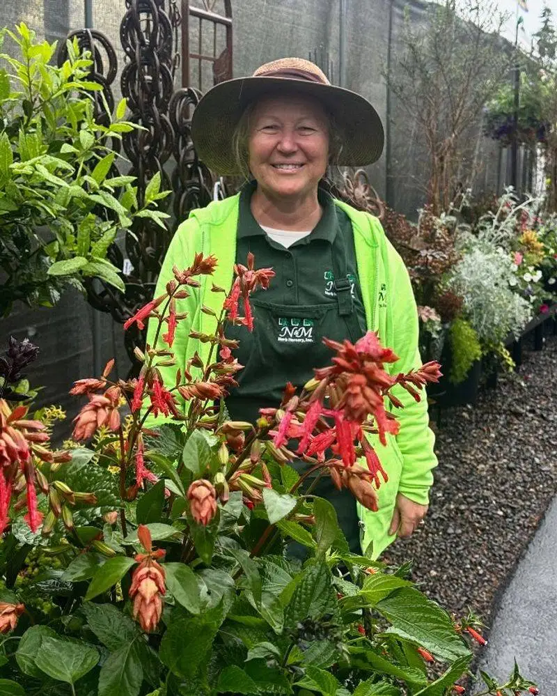 Virtual Garden Tours