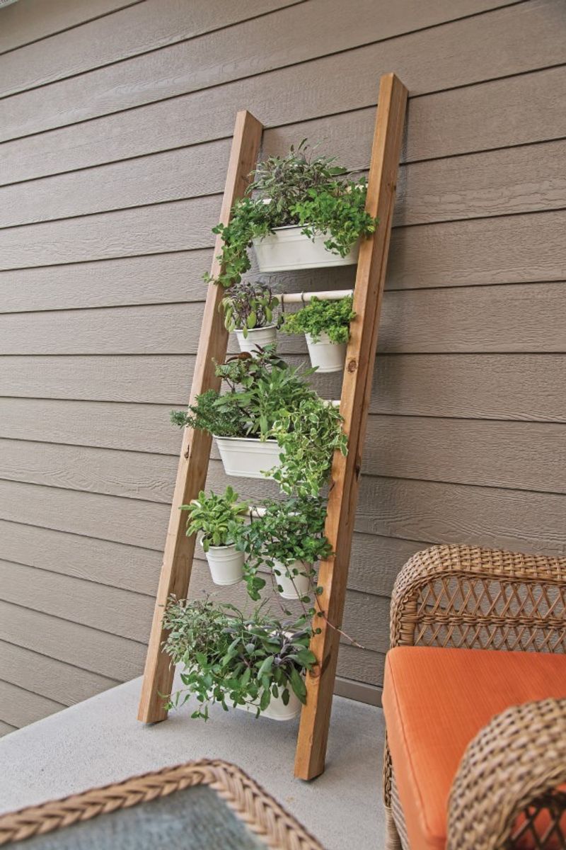 Wall-Mounted Herb Ladder
