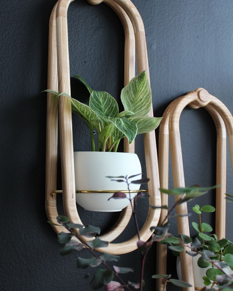 Wall-Mounted Plant Holders