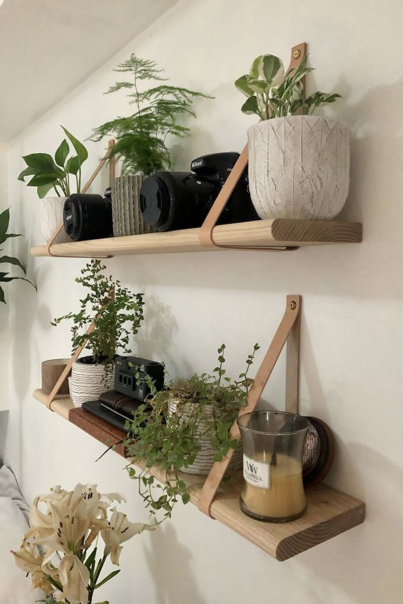 Wall-Mounted Plant Shelves