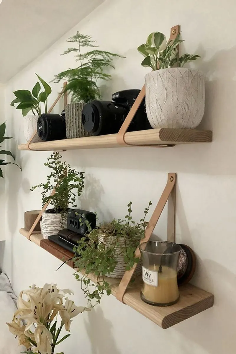 Wall-Mounted Plant Shelves