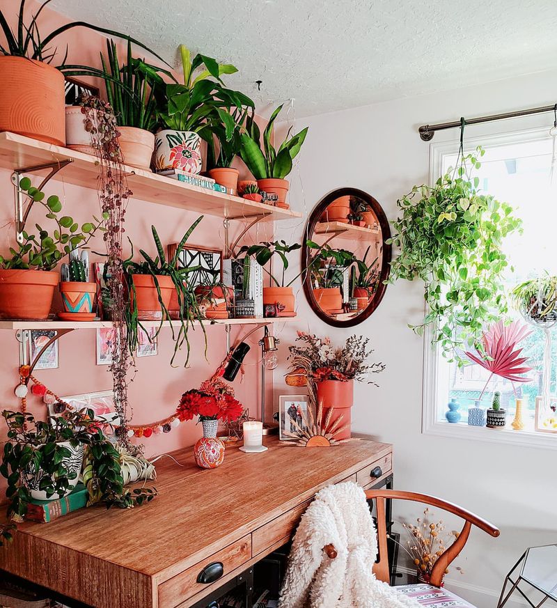 Wall-Mounted Planters