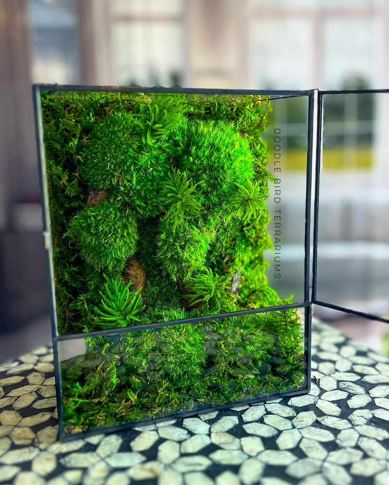 Wall-mounted Terrariums