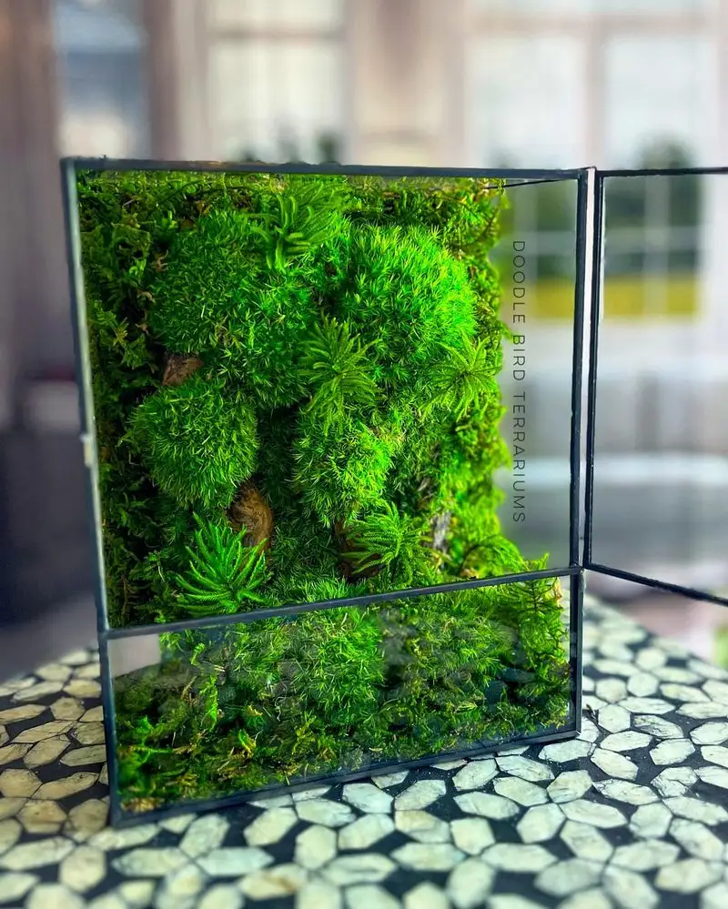 Wall-mounted Terrariums