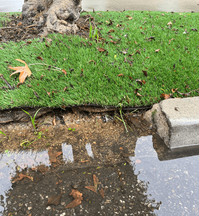Wasteful: Artificial Grass