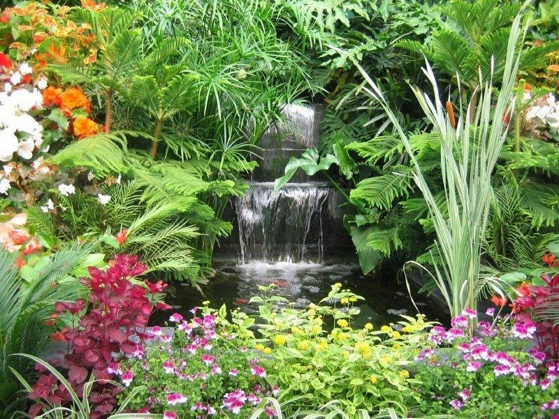 Wasteful: Exotic Plants
