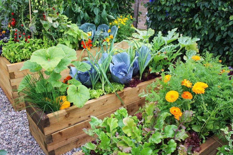 Adding a Vegetable Garden
