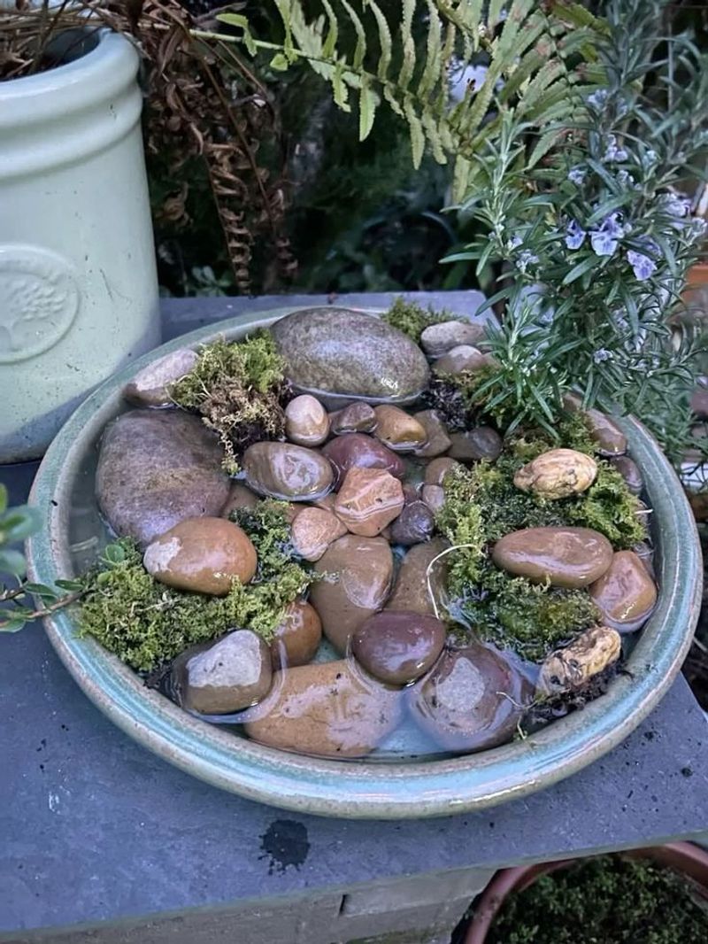 Water Feature