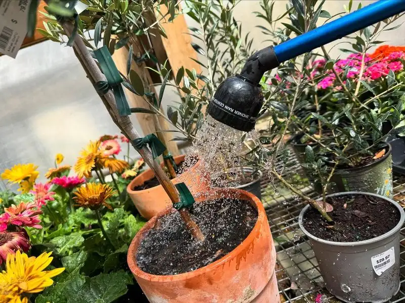 Water Wisely