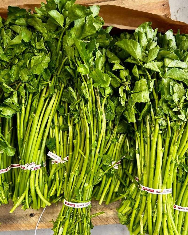 Watercress