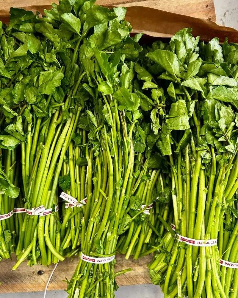Watercress