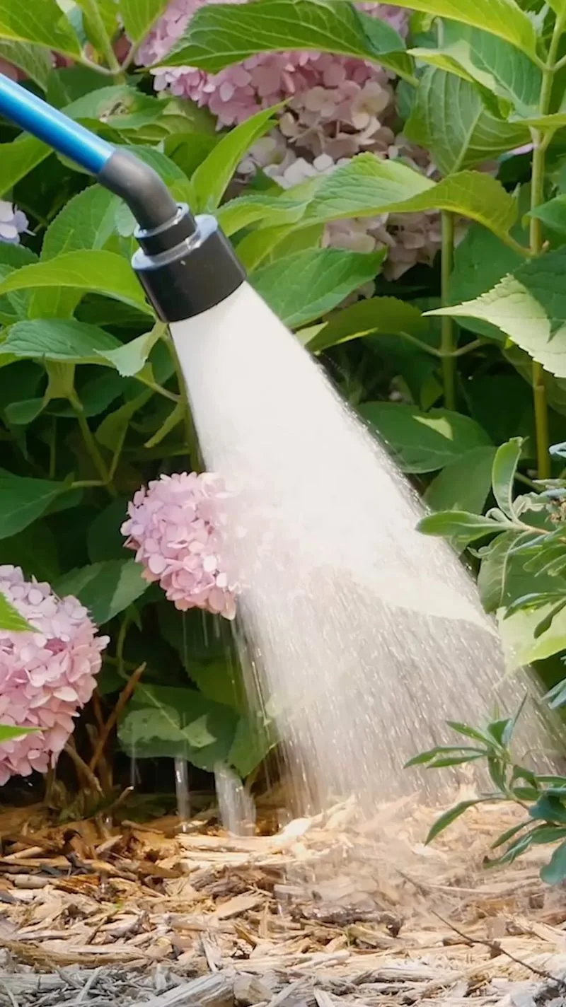Watering Every Day